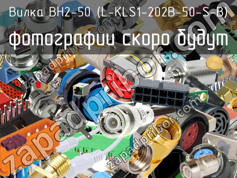 Вилка BH2-50 (L-KLS1-202B-50-S-B) фотография.