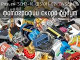 SCM2-10 (DS1011-02-10VS8B-B)