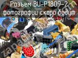 Разъем BU-P1809-2 