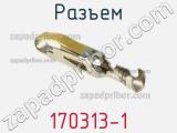 Разъем 170313-1 фотография 2.