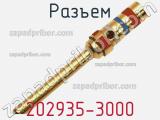 Разъем 202935-3000