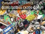 Разъем DWR-T010S-V233-01 