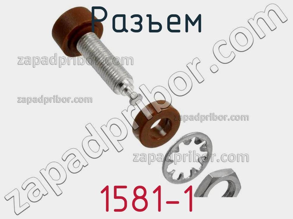 1581-1 - Разъем - фотография. Увеличить. 1581-1 - Разъем - фотография.