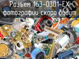 Разъем 163-0301-EX