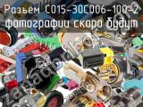 Разъем C015-30C006-100-2