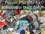 Разъем TM2PBMJ-AU