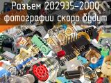 Разъем 202935-2000