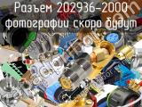 Разъем 202936-2000