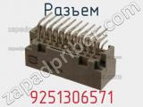 Разъем 9251306571 фотография 3.