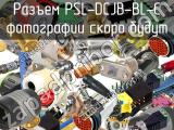 Разъем PSL-DCJB-BL-C 