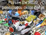 Разъем DW1R020