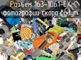 Разъем 163-1061-EX 