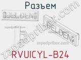 Разъем RVUICYL-B24 