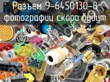 Разъем 9-6450130-8 