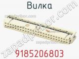 9185206803