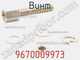 Винт 9670009973 фотография 2.