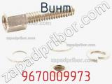 Винт 9670009973 фотография 3.