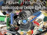 Разъем TT9316P-G2 