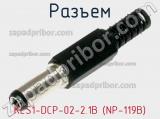 Разъем KLS1-DCP-02-2.1B (NP-119B)