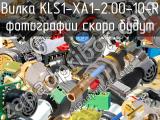 Вилка KLS1-XA1-2.00-10-R 