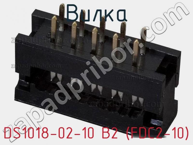 Вилка DS1018-02-10 B2 (FDC2-10) фотография.