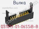 DS1013-01-06SSiB-B