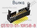 DS1013-01-10RSiB-B