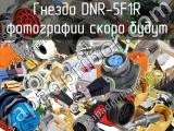 Гнездо DNR-5F1R 