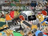 Разъем L-KLS1-4.20-2X01-FH / MF-2M 