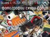 Вилка L-KLS1-XF1-1.00-1-03-RM-R 