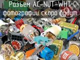 Разъем AC-NUT-WHT 