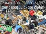 Разъем SDB-09BFFC-SL7001 