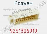 Разъем 9251306919 фотография 2.