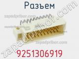 Разъем 9251306919 фотография 3.