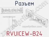 Разъем RVUICEW-B24