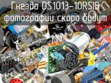 DS1013-10RSIB