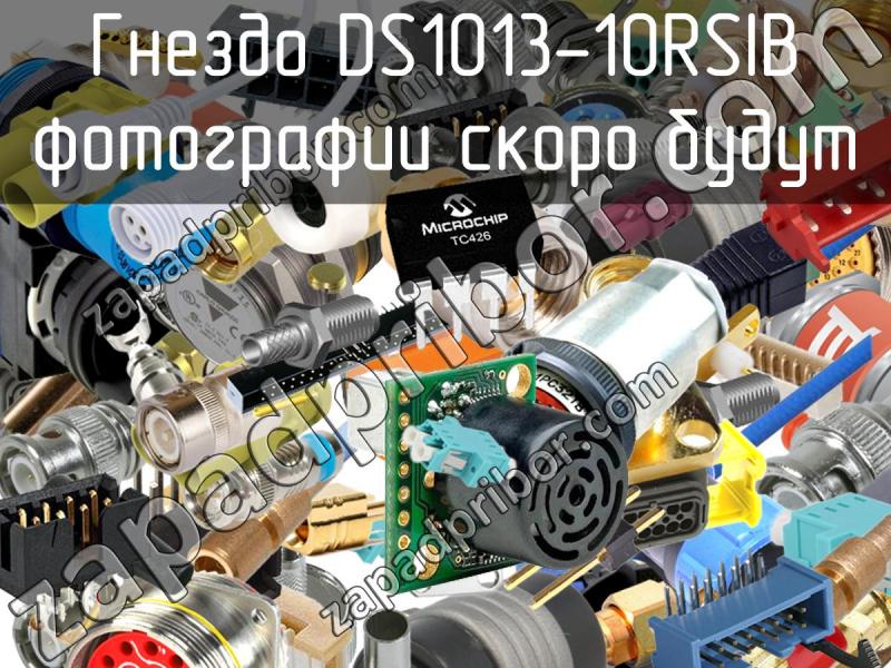 Гнездо DS1013-10RSIB фотография.