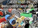 Гнездо USBB-BV