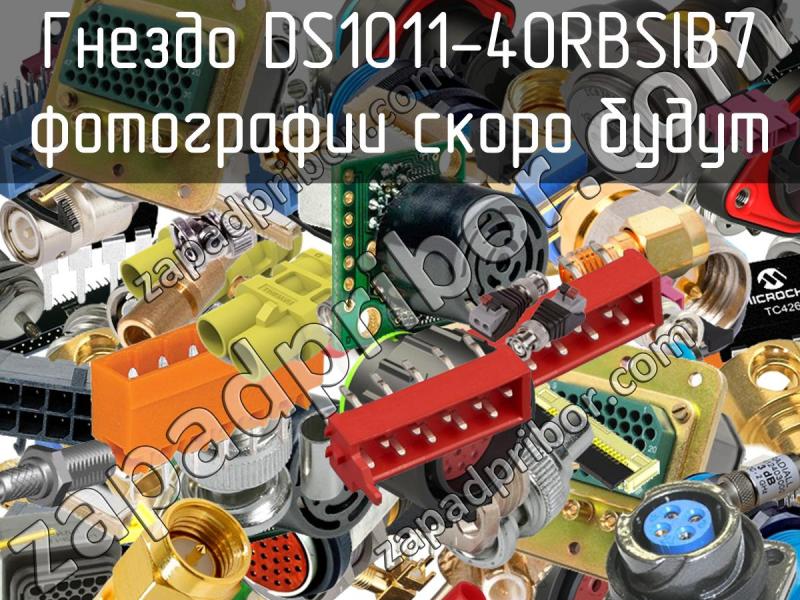 Гнездо DS1011-40RBSIB7 фотография.