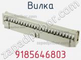9185646803