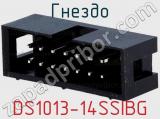 DS1013-14SSIBG
