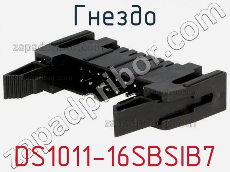 Гнездо DS1011-16SBSIB7 фотография.