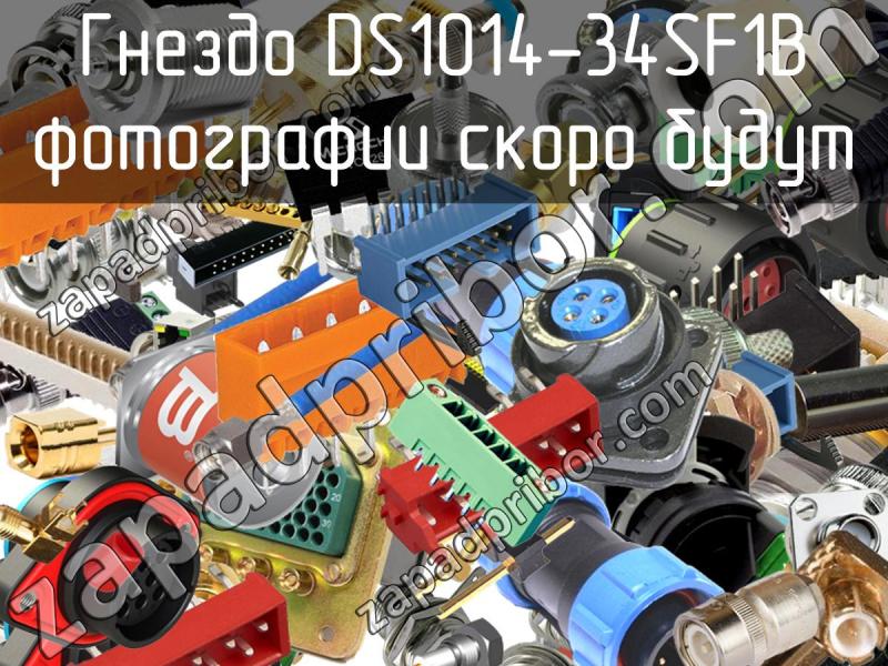 Гнездо DS1014-34SF1B фотография.