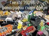 Гнездо 73098-2