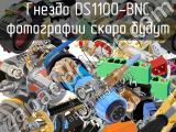 Гнездо DS1100-BNC