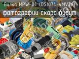 Вилка MPW-04 (DS1074-4MVT6) 