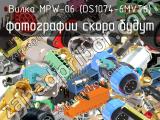 Вилка MPW-06 (DS1074-6MVT6) 