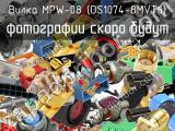 Вилка MPW-08 (DS1074-8MVT6) 