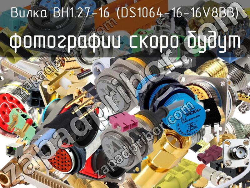 Вилка BH1.27-16 (DS1064-16-16V8BB) фотография.