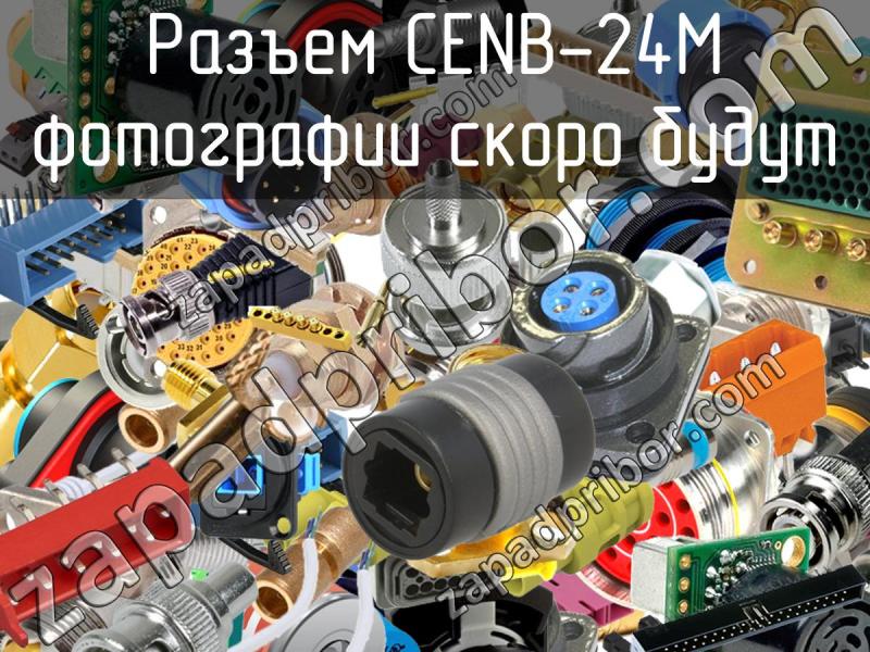 Разъем CENB-24M фотография.